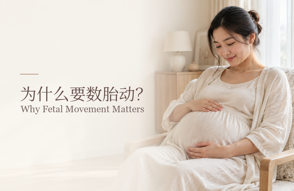 为什么要数胎动？怎么数才正确？